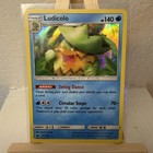 Ludicolo