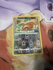 Bidoof