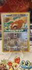 Bidoof