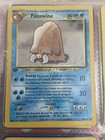 Piloswine