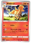 Rapidash