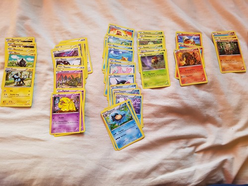 Elite Trainer Box