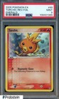 Torchic