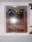 Torchic