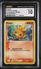 Torchic