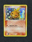 Torchic