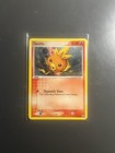 Torchic