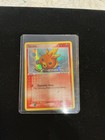 Torchic