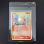 Torchic