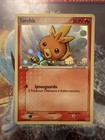 Torchic