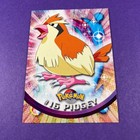 Pidgey