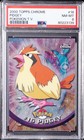 Pidgey