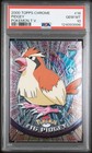 Pidgey