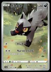 Poochyena
