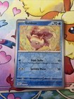 Goldeen