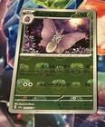 Venomoth