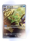 Omanyte