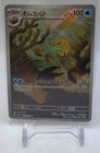 Omanyte