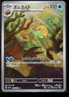 Omanyte