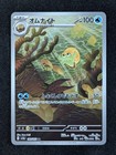 Omanyte