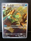 Omanyte
