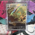 Omanyte