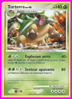 Torterra