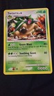 Torterra