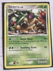Torterra