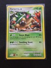 Torterra