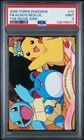 Pikachu's Rescue Adventure