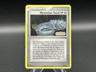 Mysterious Fossil