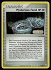 Mysterious Fossil