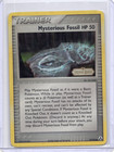Mysterious Fossil