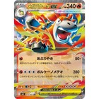 Mega Camerupt ex