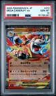 Mega Camerupt ex