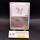 Yu Nagaba Eevee's Special Box