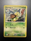 Turtwig