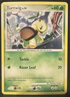 Turtwig