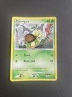 Turtwig