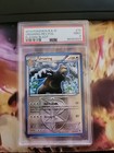 Ursaring