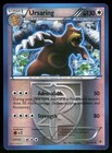 Ursaring