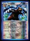 Ursaring