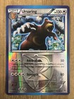 Ursaring