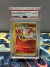Rapidash