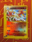 Rapidash