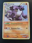 Nidoking