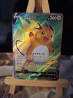 Raichu V
