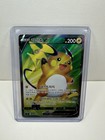 Raichu V