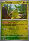 Turtwig